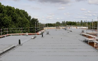 How Regular Roof Maintenance Can Lower Energy Costs for Commercial Buildings