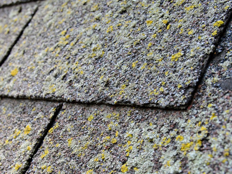 Aging Roof Materials